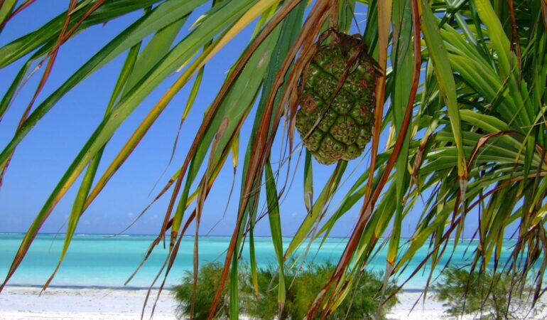 6 Days Zanzibar Budget Beach Holiday – Affordable Island Escape