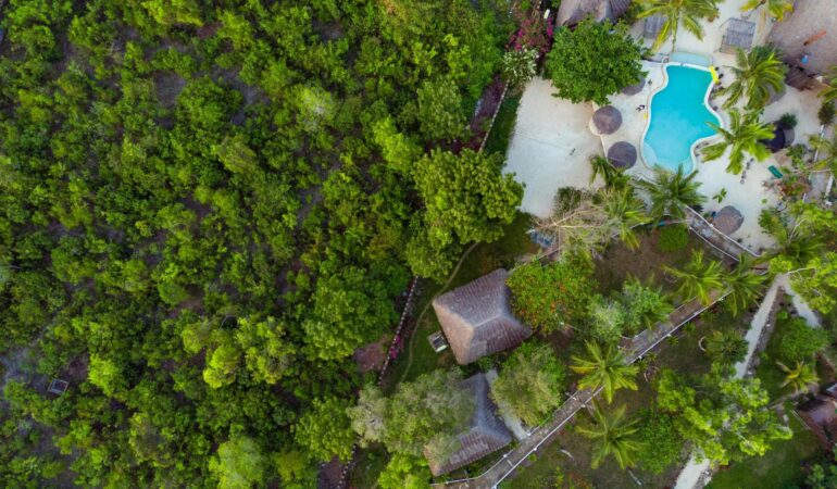 8 Days Tanzania Safari and Zanzibar Beach Holiday – Wildlife and Relaxation Experience