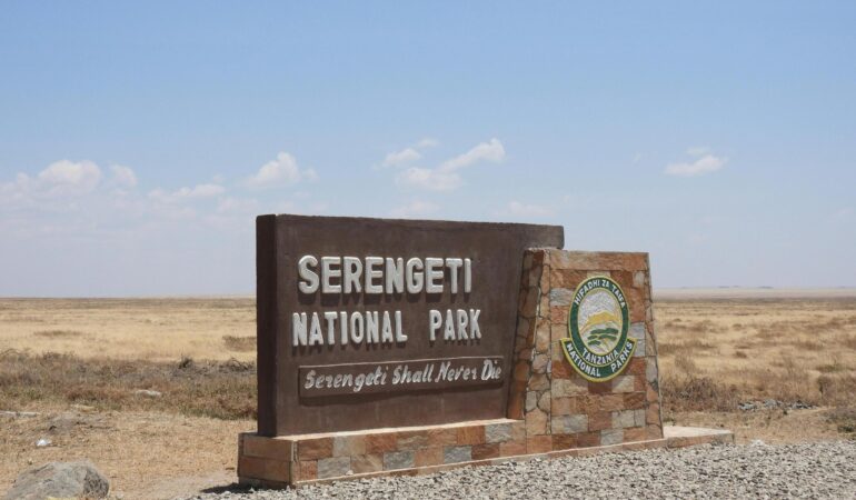 Tanzania Safari Packages – Unforgettable Wildlife Adventures with Tanzania Crown Safaris