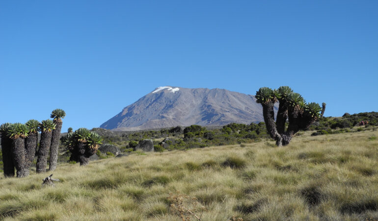 6 Days Marangu Route Kilimanjaro Climb – Classic Coca-Cola Route to Uhuru Peak