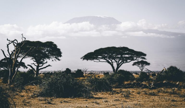 8 Days Lemosho Route Kilimanjaro Climb – Best Route for High Summit Success