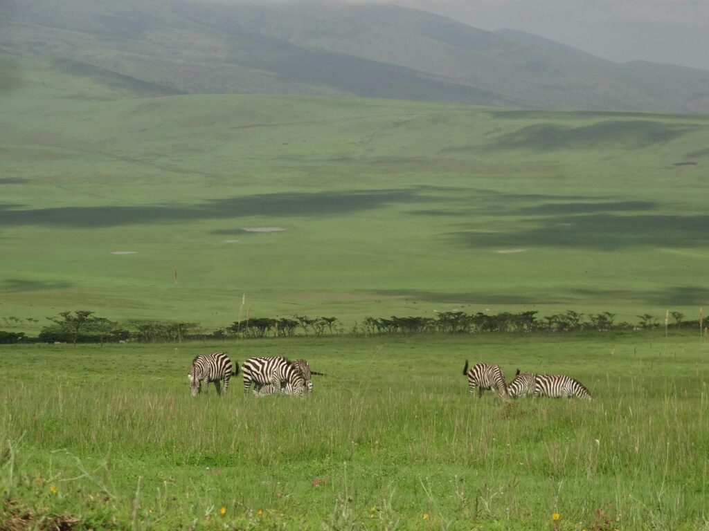 Best Month to Visit Tanzania