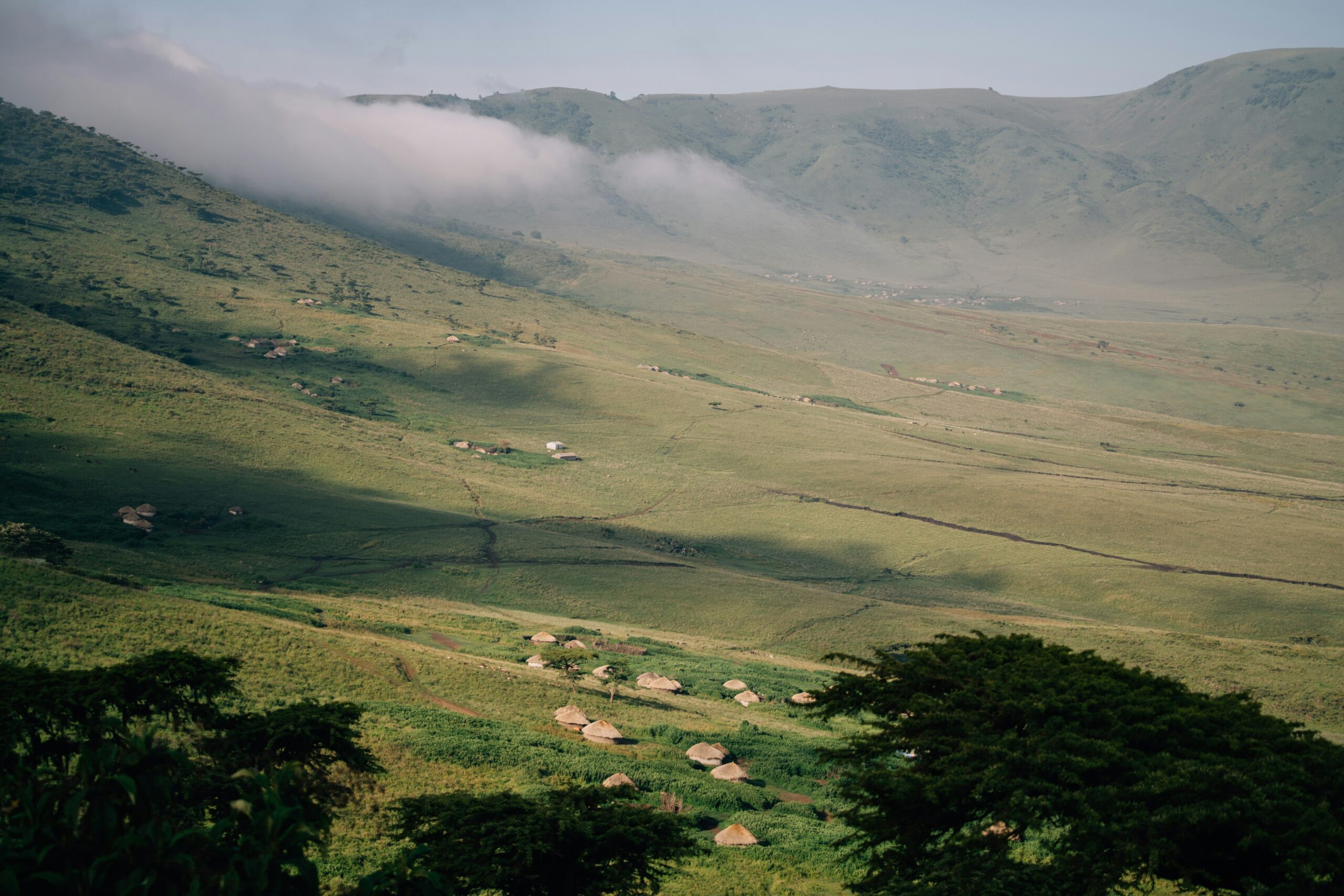 1 Day Ngorongoro Crater Safari