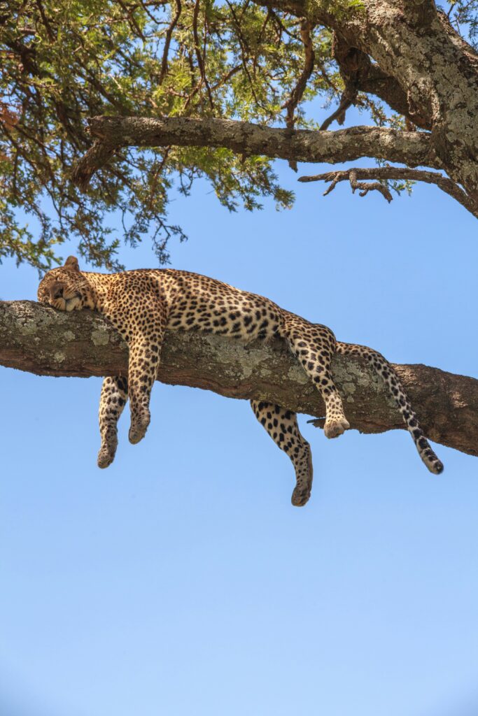Lake Manyara National Park