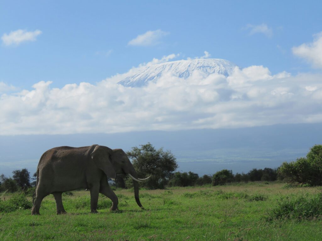 Kilimanjaro National Park