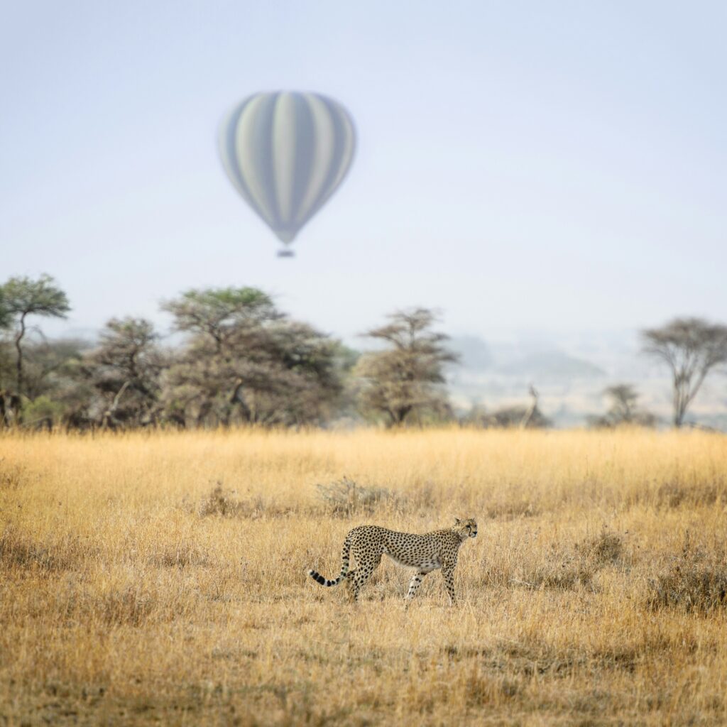 Serengeti National Park