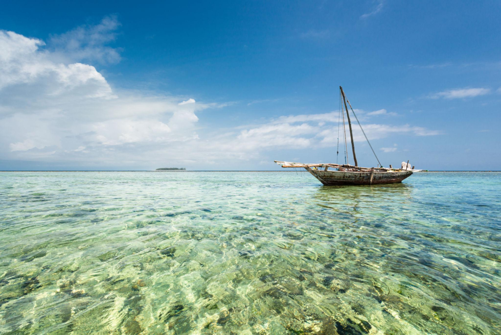 Dolphin Tour Zanzibar