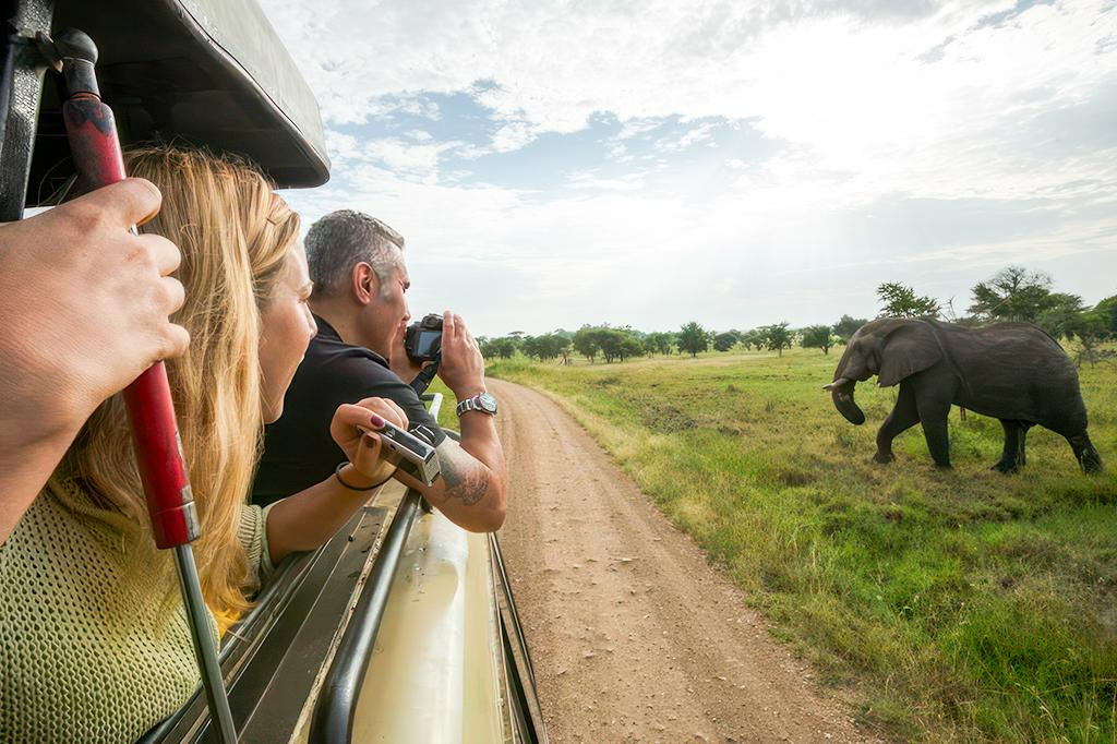 Game Drive in Tanzania