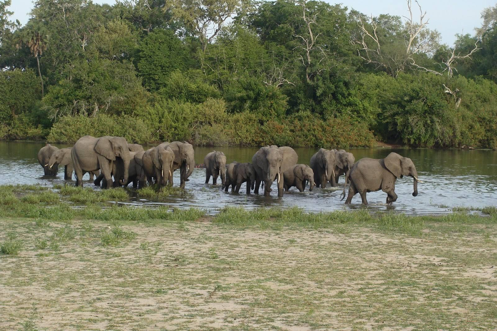 8 Days Tanzania Safari in November