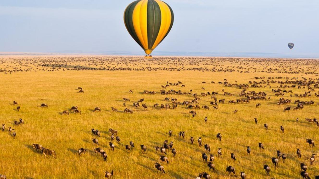Tanzania Balloon Safari