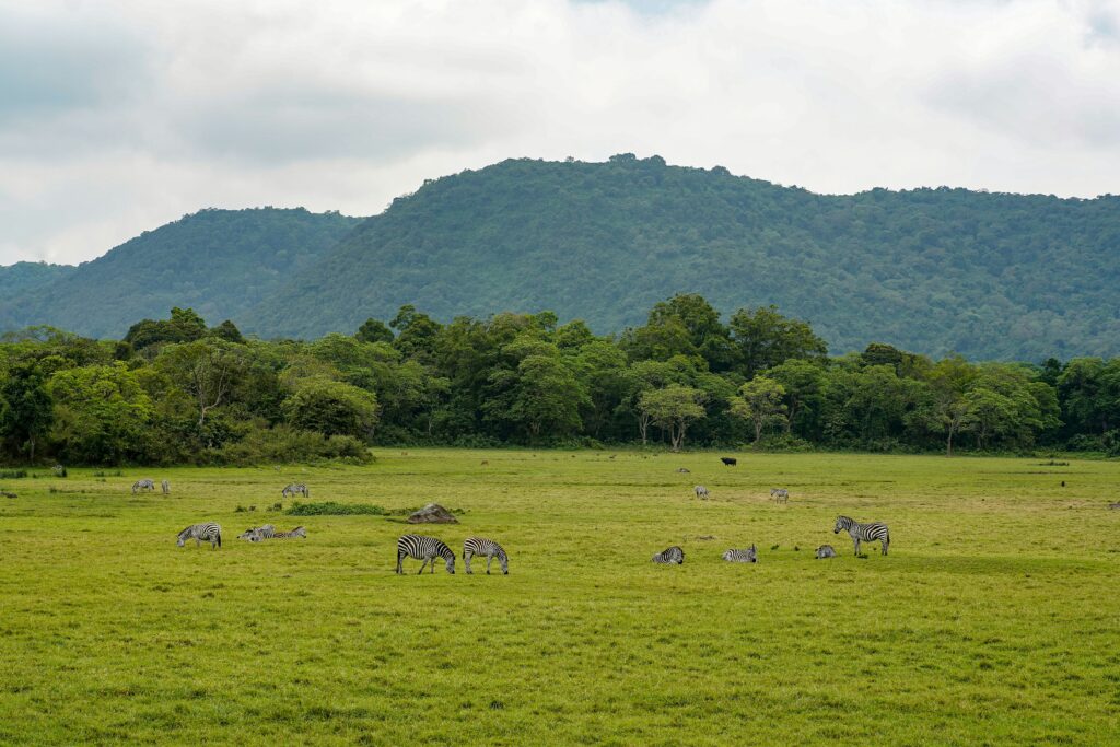 arusha-national-park