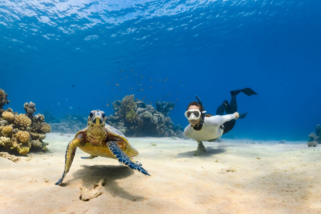 Things to do at Zanzibar Island