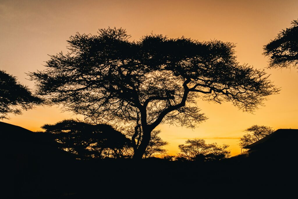 Sunrise and Sunset over the Crater Rim