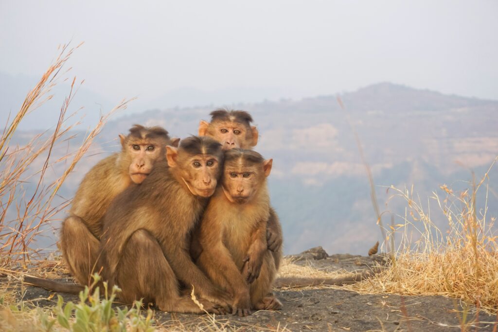 Things to Do in Ngorongoro Crater