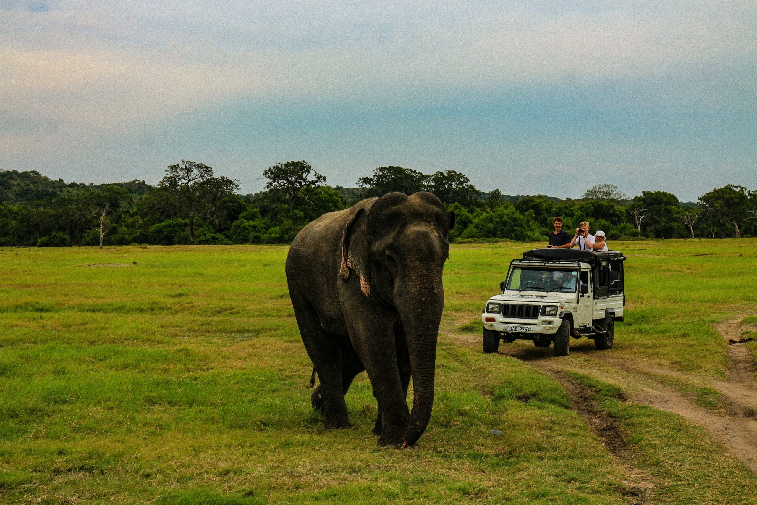 Things to Do in Ngorongoro Crater
