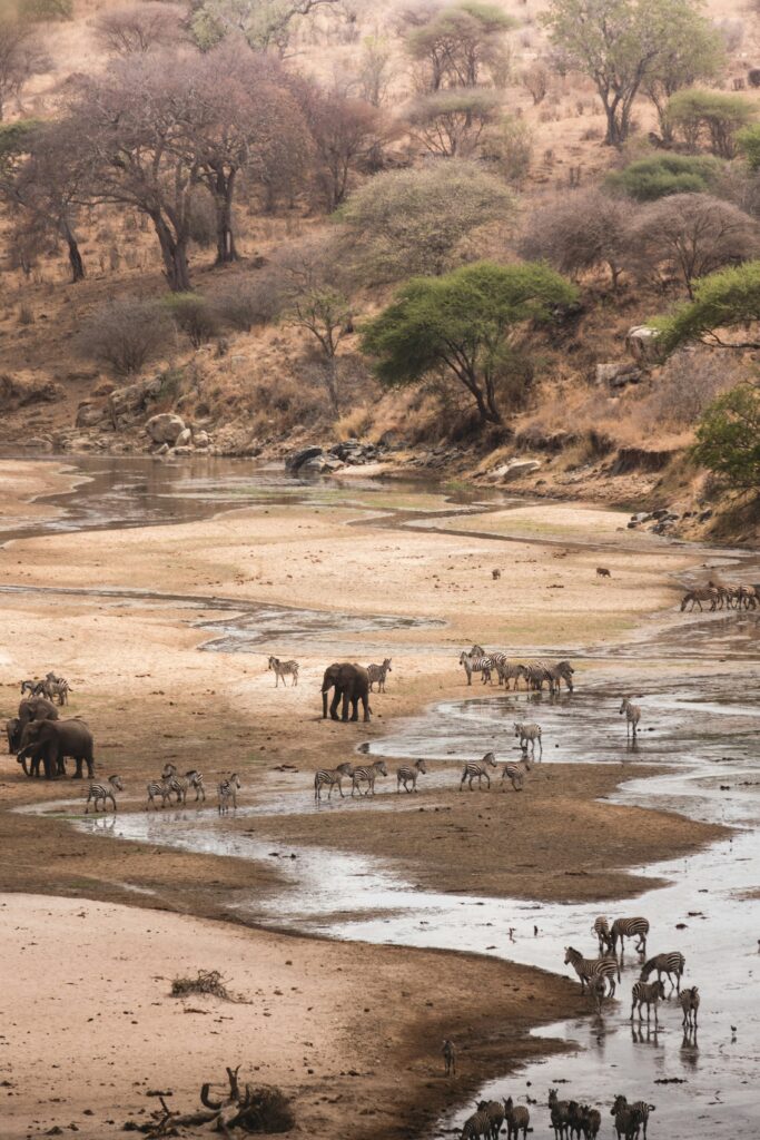 Tarangire National Park