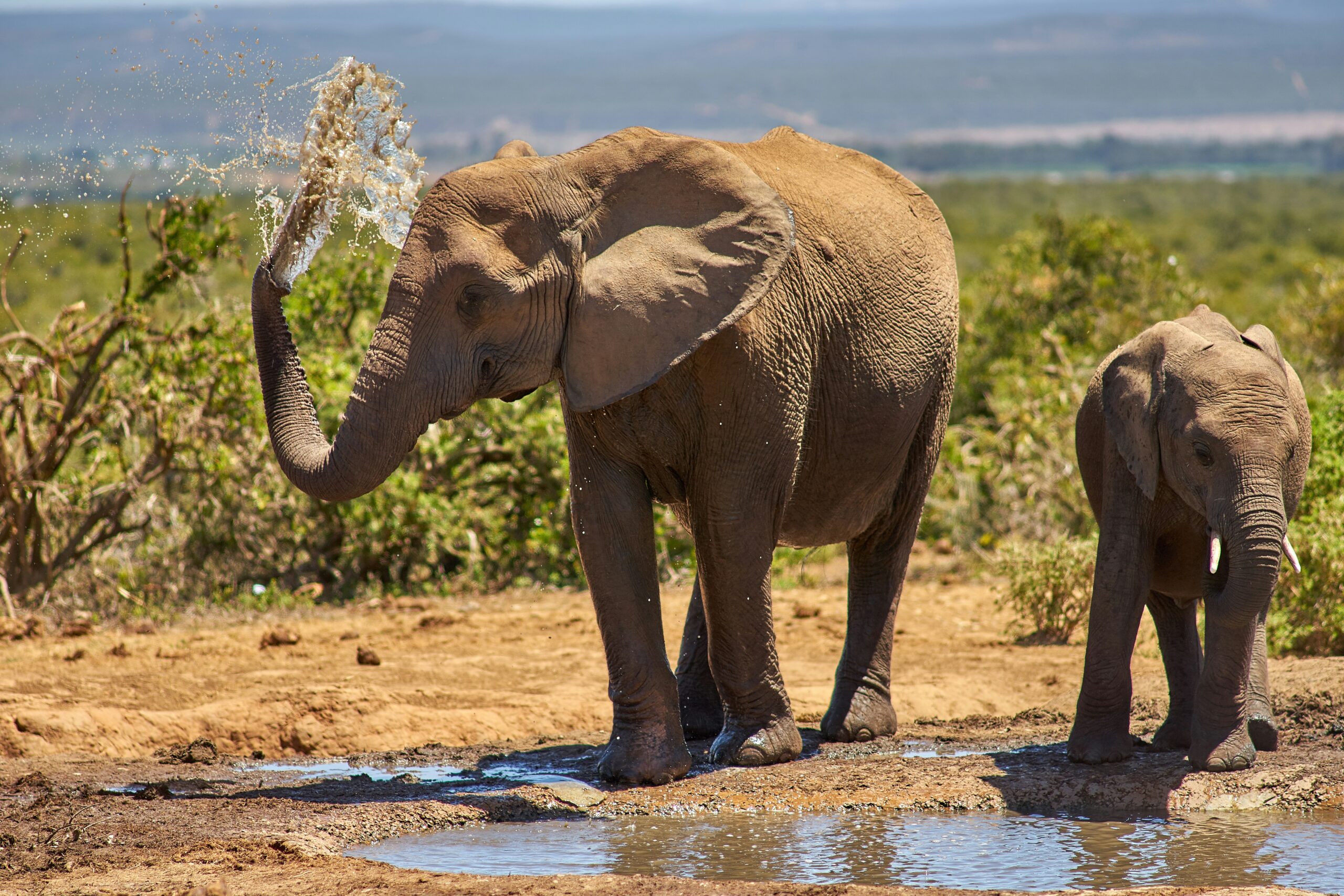 Things to Do in Tanzania