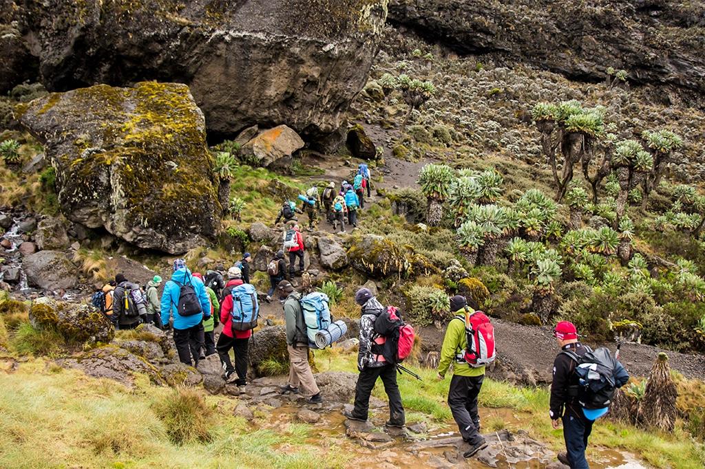 Kilimanjaro Climbing Packages
