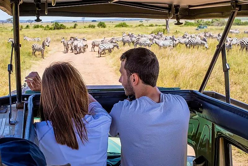 Tanzania Safari for Couples