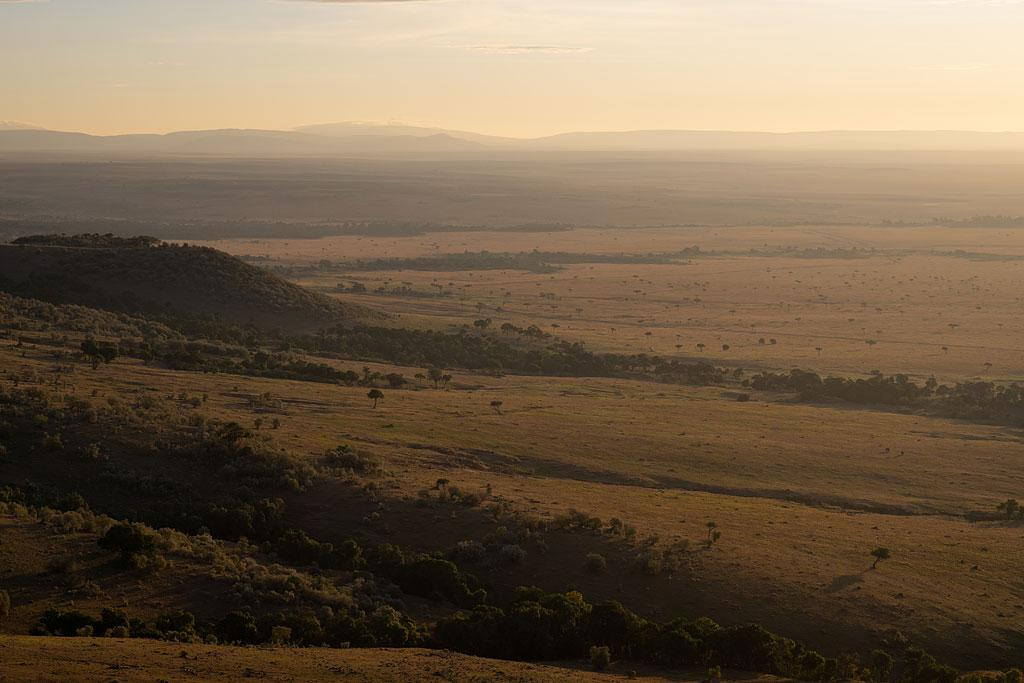 Masai Mara National Reserve