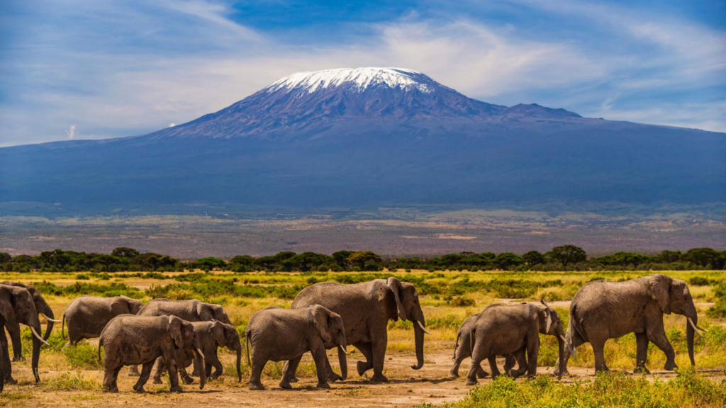 Amboseli National Park