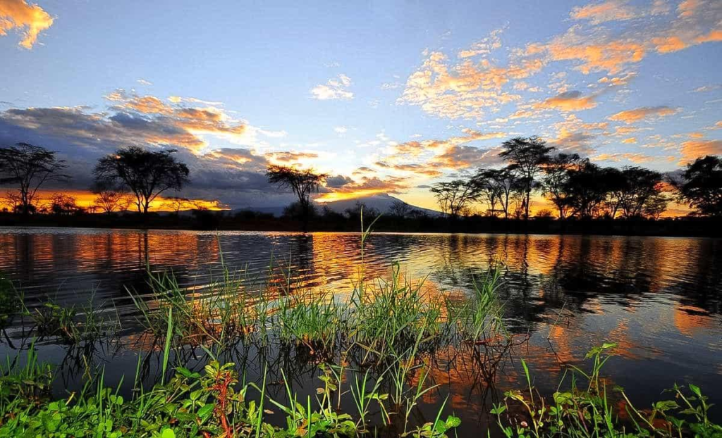 Lake Naivasha Safari
